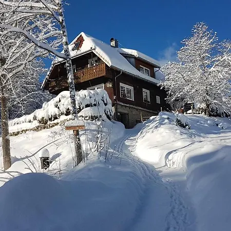 Apartment Manu's Schluchsee