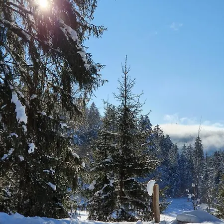 Manu's Schluchsee