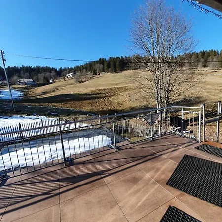 Lejlighed Manu's Schluchsee