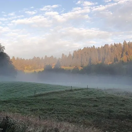 Manu's Lejlighed Schluchsee