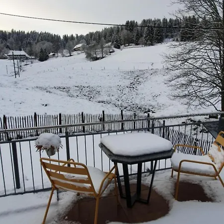 Apartment Manu's Schluchsee